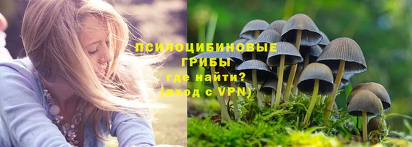 бошки Абдулино